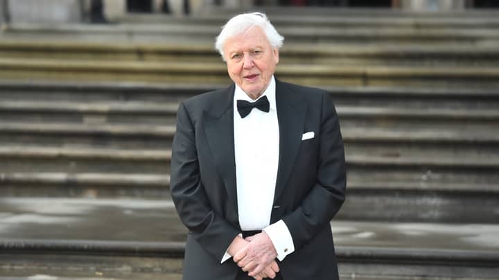 David Attenborough Says He Hasn't Got Many Years Left As He Urges Others To Fight Climate Change 