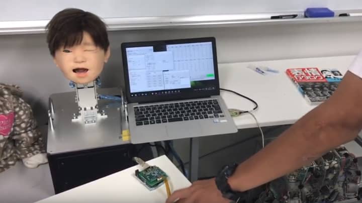 Scientists In Japan Unveil Robot That Can Feel Pain