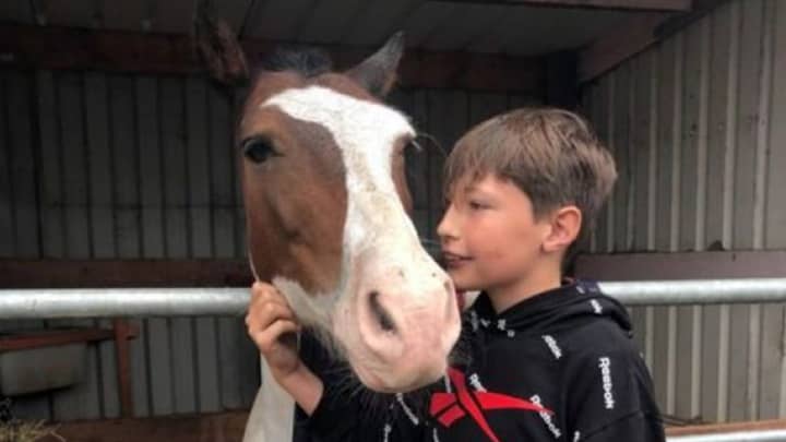 Boy Jumps Into Freezing Canal To Rescue Drowning Horse