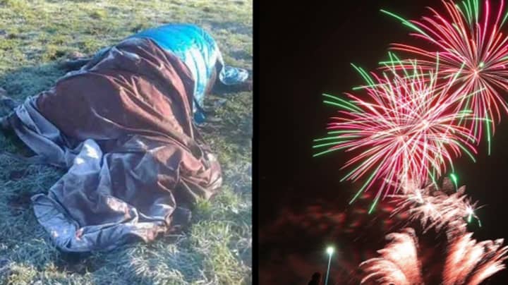Horse Dies From A 'Twisted Gut' After Being Scared By Fireworks