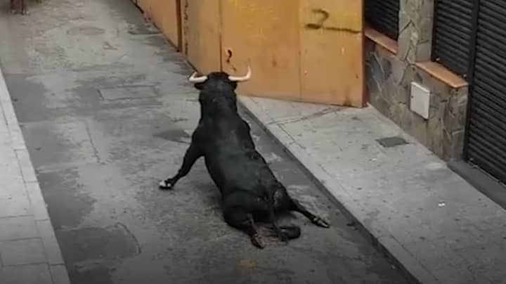  Shocking Clip Shows Bull Dragging Itself Along After Breaking Its Back Legs During Festival In Spain 