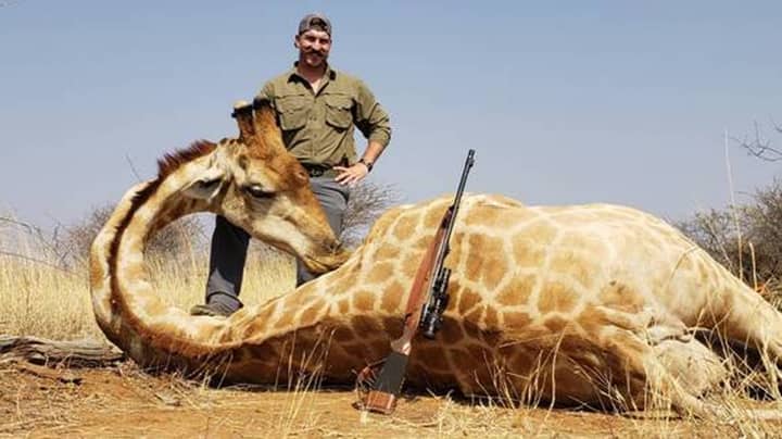 US Wildlife Official Under Fire For Proudly Posing With Dead Animals He  Killed In Africa - LADbible