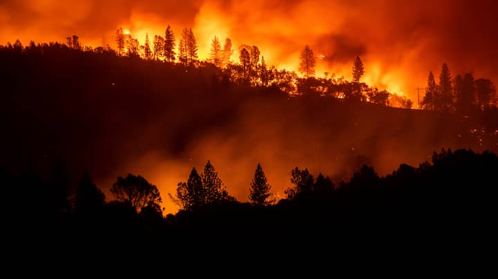 Death Toll Rises To 31 As Wild Fire Rips Through California 