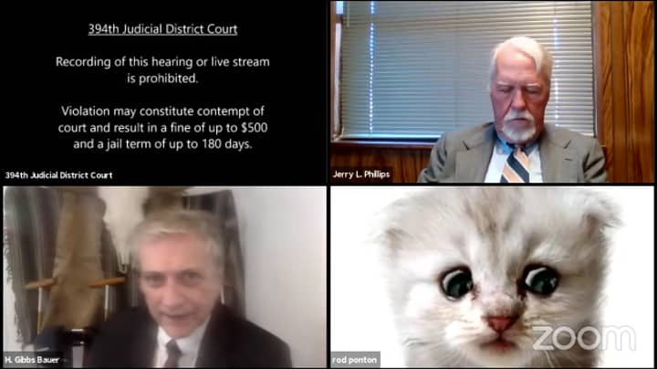 Lawyer Struggles To Remove Cat Filter During Live Court Hearing