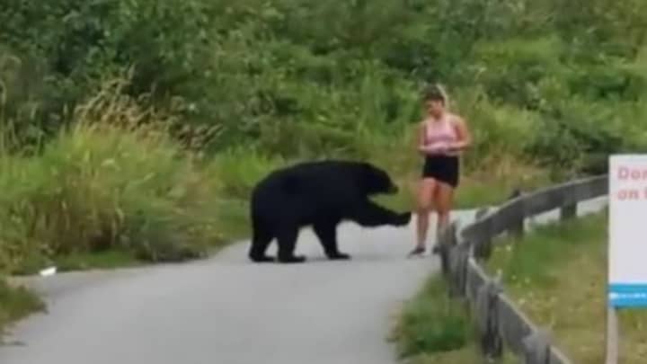Runner Stays Unbelievably Calm During Close Encounter With Black Bear