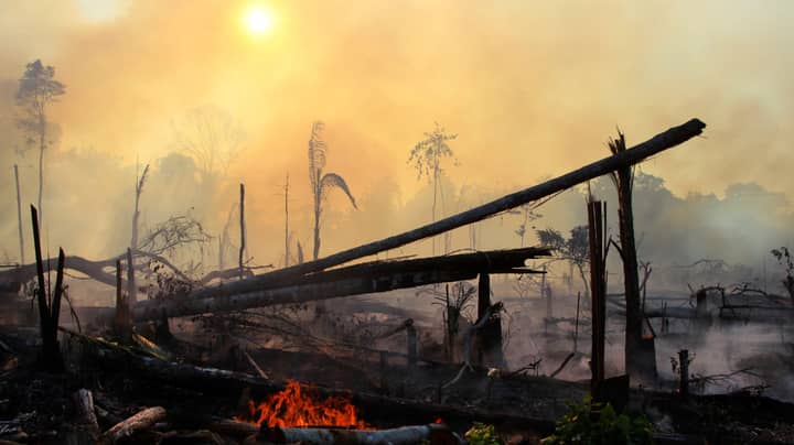 Amazon Rainforest Suffers Worst Start To Fire Season In 10 Years