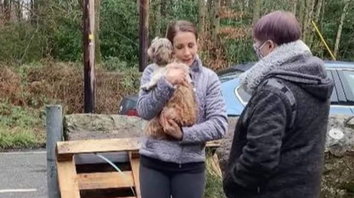 Owner Reunited With Dog That Went Missing Almost Eight Years Ago