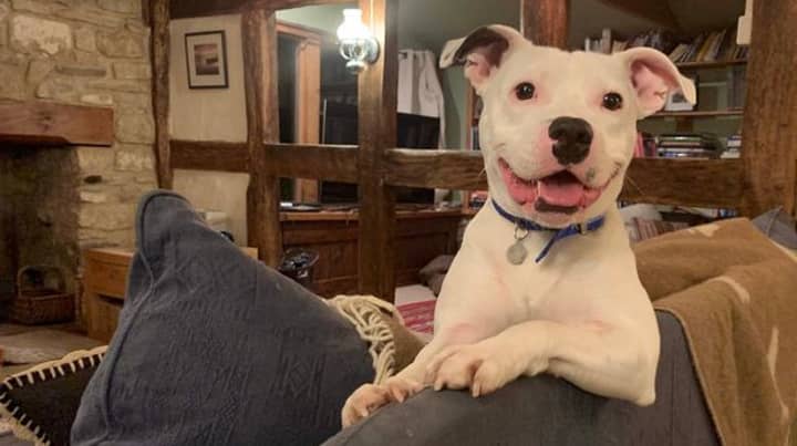 Snoop The Dog Is Loving Life In New Home After Being Abandoned