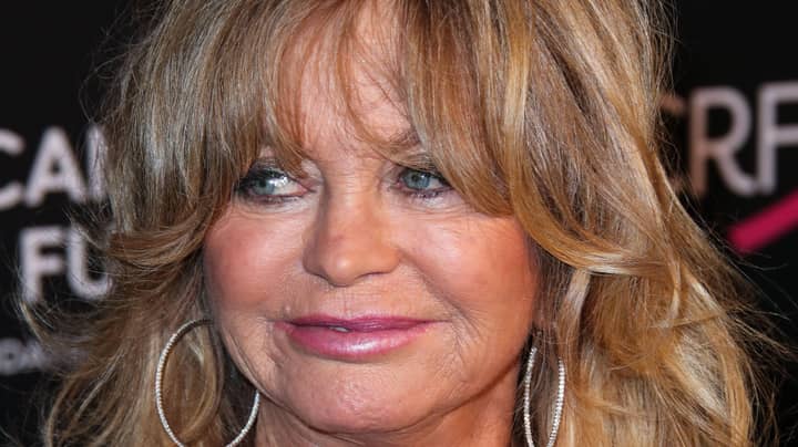 Goldie Hawn Explains Why Celebrities Shouldn’t Speak Out About Politics 