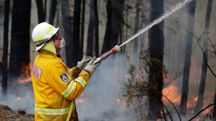 Aussie Drug Dealer Pledges To Donate 10 Percent Of Profits To Bushfire Crisis