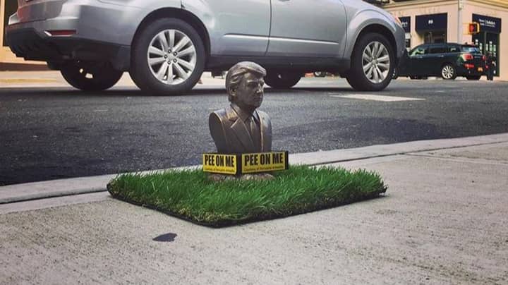 Tiny Donald Trump Statues Inviting Dogs To 'Pee On Me' Pop Up Across New York