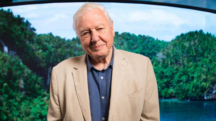 David Attenborough: A Life On Our Planet Drops On Netflix Today 