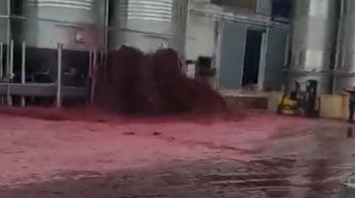 50,000 Litres Of Red Wine Explodes From Winery Tank In Spain