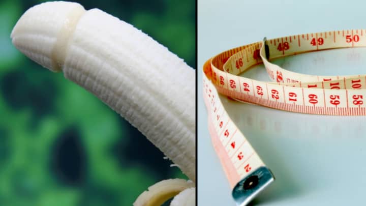Men Are Measuring Their Penises With Toilet Roll Tubes