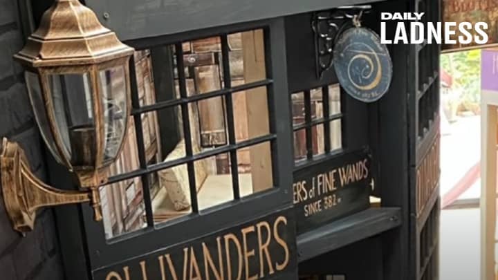 Dad Creates Mini Diagon Alley For Daughter In Secret Space Behind Her Wardrobe