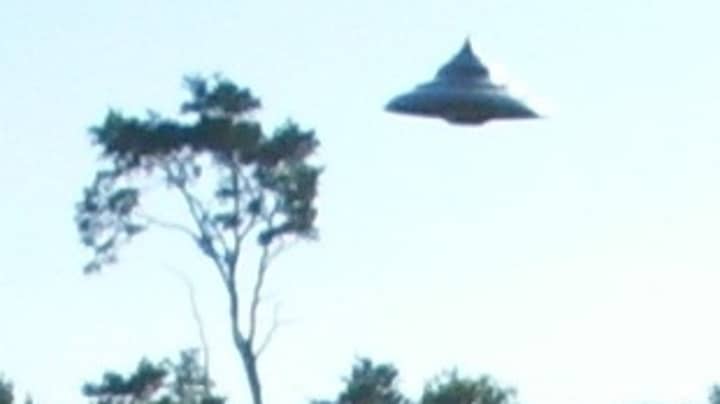 Photographs Showing UFO Hovering Over A Forest Dubbed 'Best We Have'