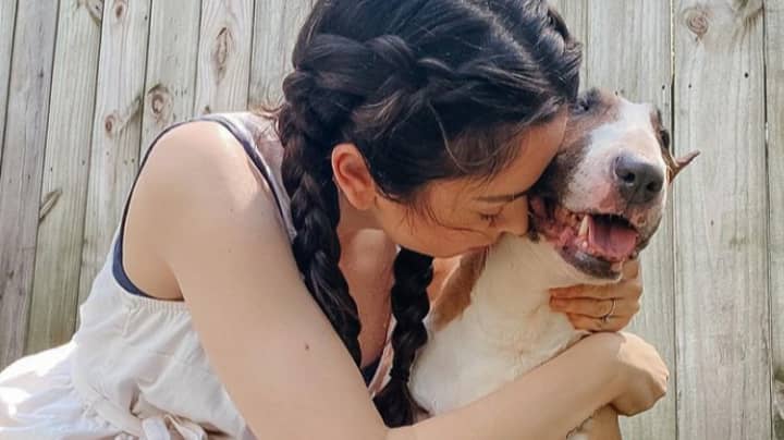 YouTuber Nikki Phillippi Facing Backlash After Having Family Dog Put Down