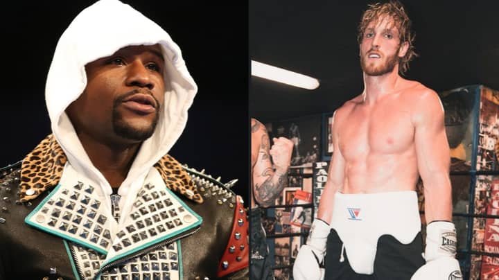 Floyd Mayweather Agrees To Fight YouTuber Logan Paul Fight On June 6