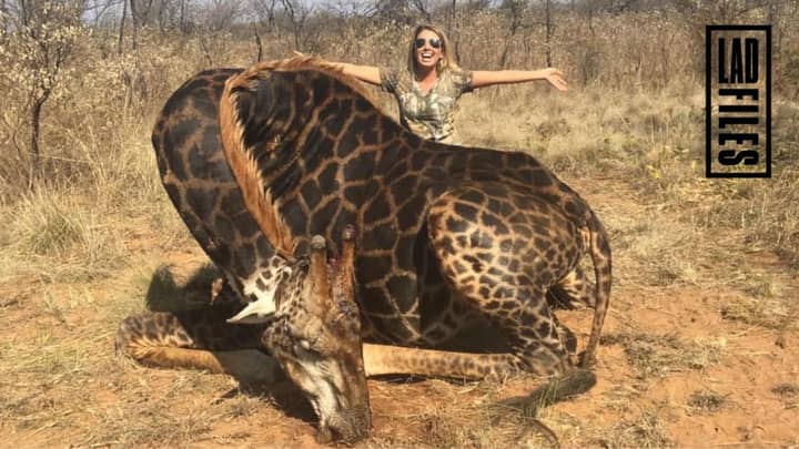 Female Trophy Hunter Explains Why She Will Never Regret Killing Wild Animals  - LADbible