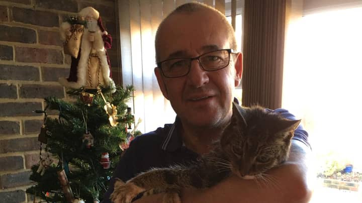 Beloved Pet Cat That Went Missing Six Years Ago Found On Christmas Eve