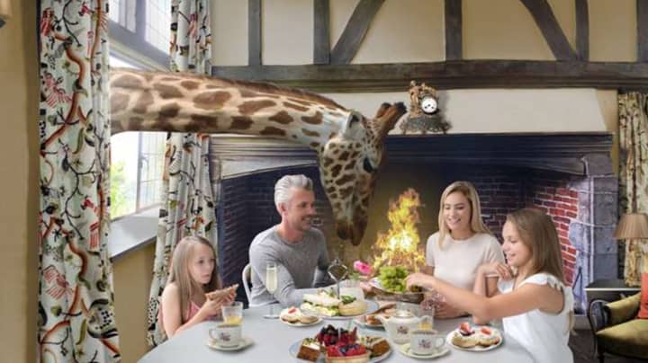 Giraffe Hotel Where Guests Come Up Close To The Animals Set To Open In UK 