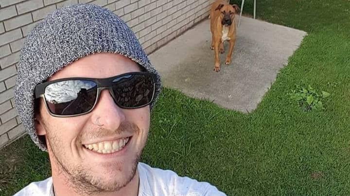 Dog Waited By Owner For Five Hours As He Died Following Horror Car Crash In Queensland