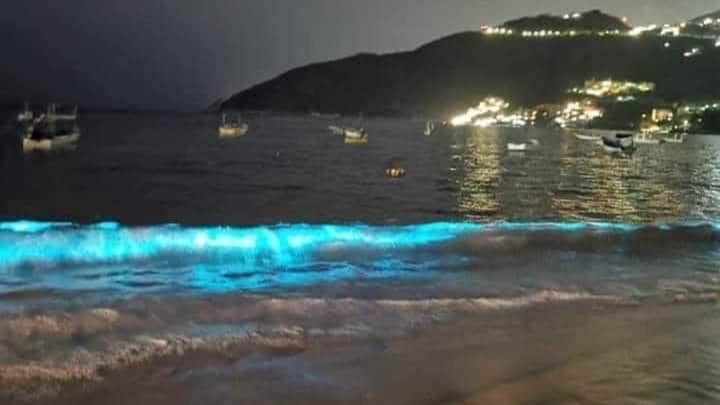 Bioluminescent Plankton Turns Waves Blue Near Beach In Mexico