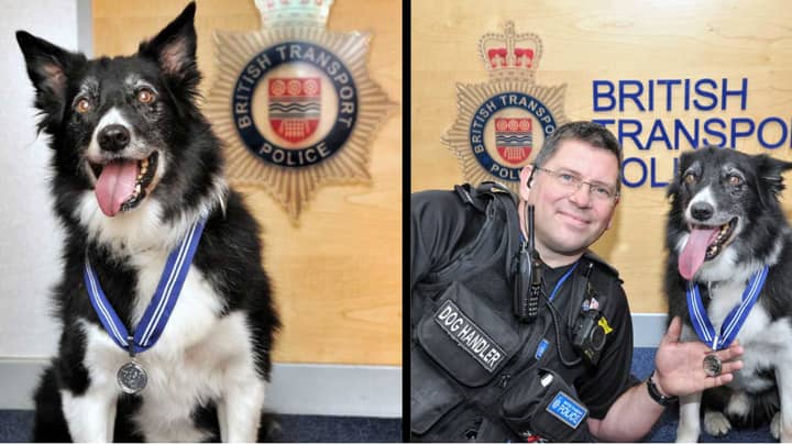 Police Dog Honoured For His Bravery At The Manchester Arena Attack