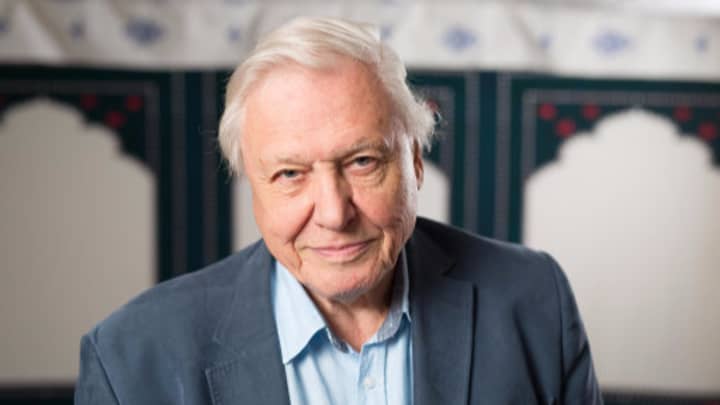 People Really Want David Attenborough To Be Prime Minister