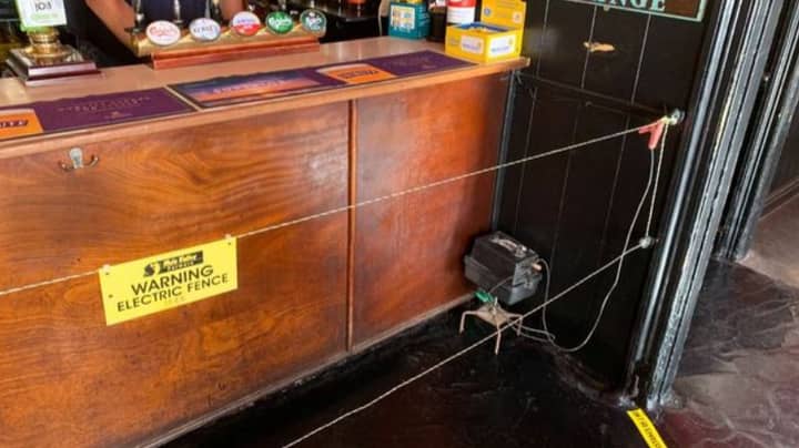Pub Installs Electric Fence To Stop Drinkers Getting To The Bar
