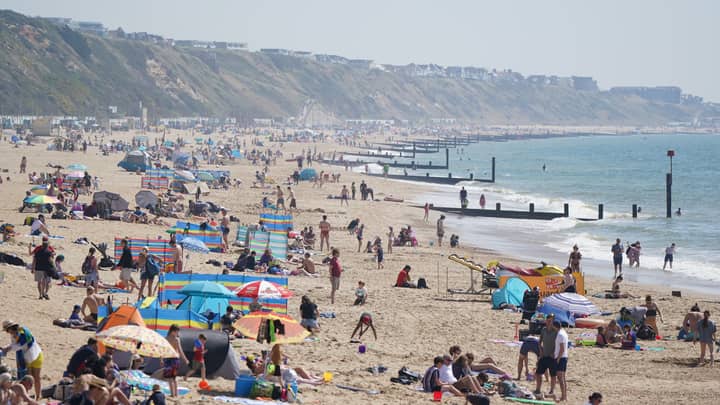 British Beach Evacuated After 'Shark' Spotted Swimming Near Shore