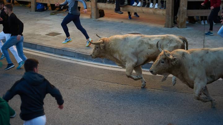 Man Dies After Being Gored By Bull During Spanish Festival