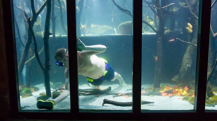 Man Spends £20,000 Turning His House Into Giant Aquarium