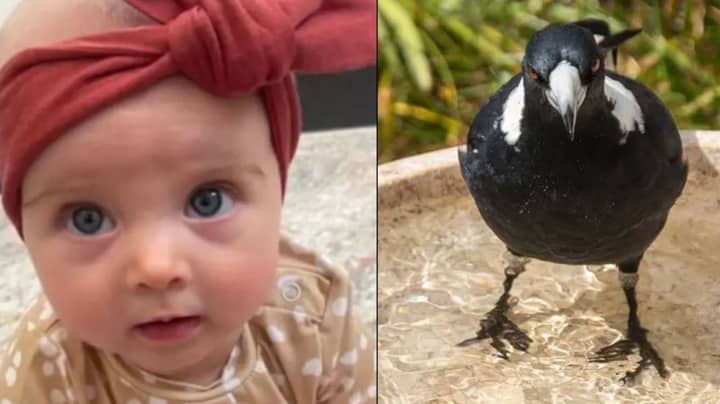 In Swooping Attack Remembered As 'Beautiful' Baby