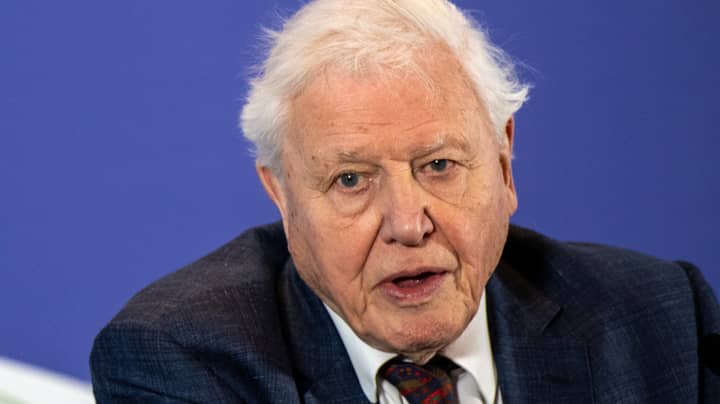 Sir David Attenborough Is Looking For People In Melbourne To Help Film Planet Earth III