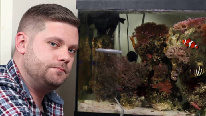 Dad Finds One Of World's Most Venomous Sea Creature In The Family Fish Tank