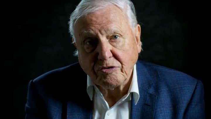 Sir David Attenborough Reveals He Punched The Air When Donald Trump Lost