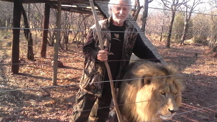 Three ​Lions Shot Dead After Mauling Their Keeper To Death