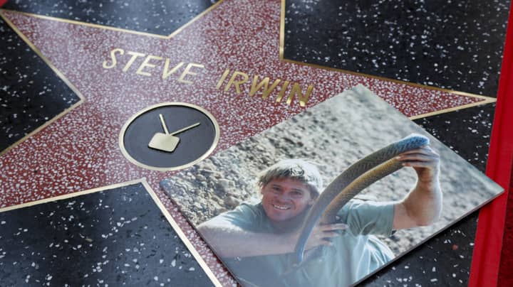 ​Steve Irwin Receives Star On Hollywood Walk Of Fame