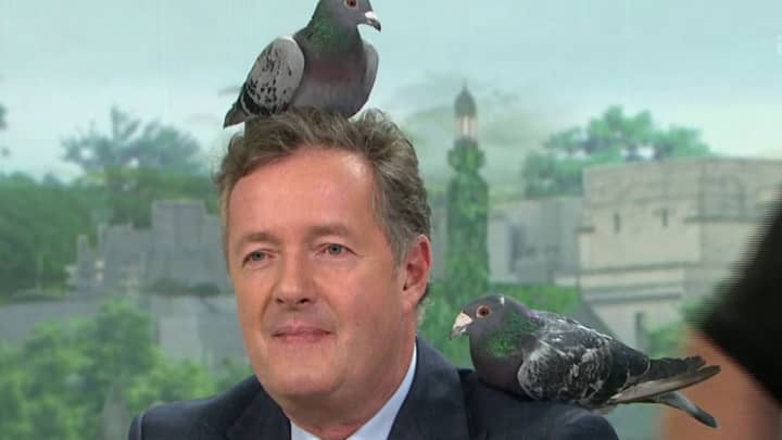 Piers Morgan Denies He's The Bird Lady From Home Alone 2 Again