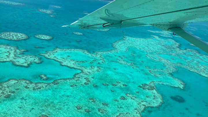 Great Barrier Reef Experiences Third Bleaching Event In Five Years
