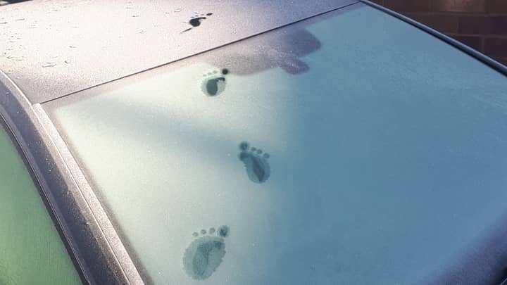 Mysterious Four-Toed Footprints Spotted On Driver's Frosty Car
