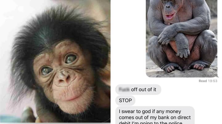 Woman Tricks Man Who Gave Her His Number Into Thinking He's Adopted A Chimp