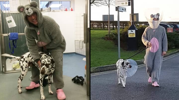Vet Dresses Up As Mouse To Help Anxious Dog Wearing Cone Of Shame