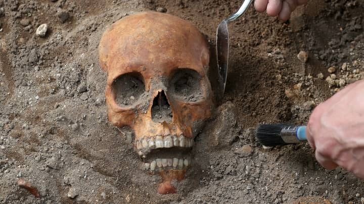 Remains Of Medieval Humans Found During Archaeological Dig