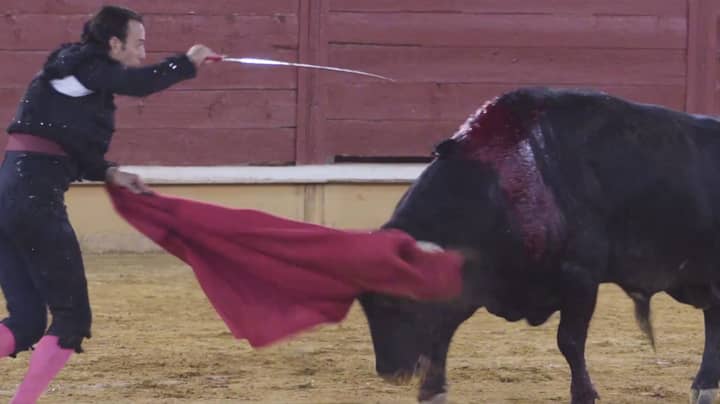 Spain's First Bullfight Since Lockdown Prompts Fresh Calls For Ban