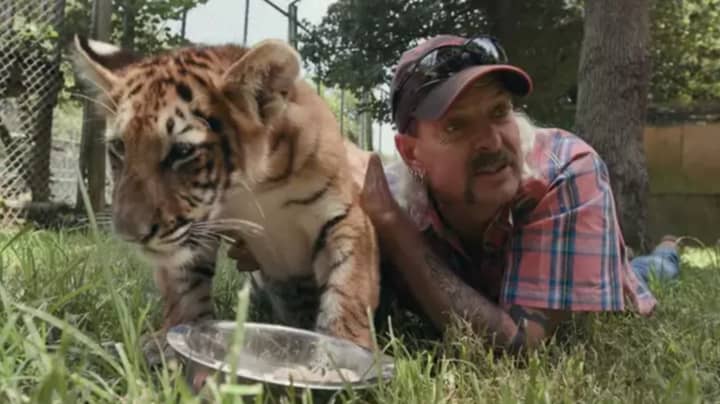 New Episode Of Tiger King On Netflix Disappoints Viewers