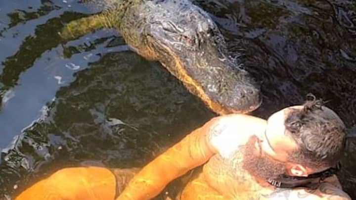 Man 'Nibbled' By Alligator 'Buddy' While Taking A Dip In Florida