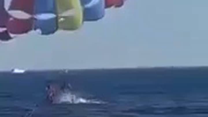 Terrifying Footage Shows Shark Leaping Out Of The Water And Biting Parasailor's Foot