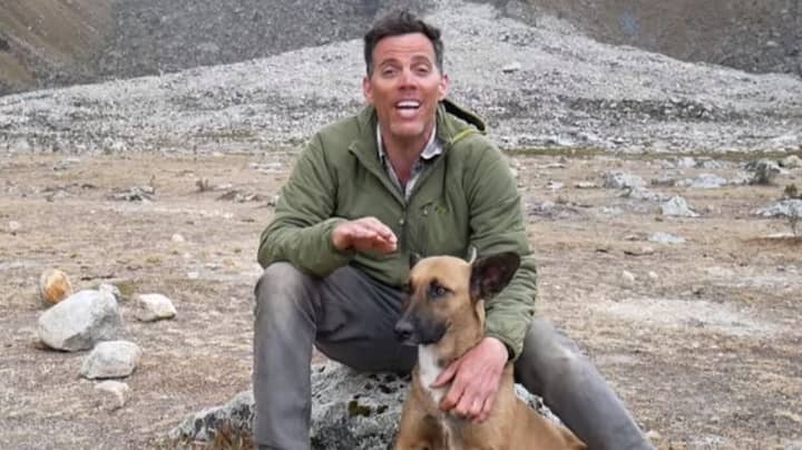 'Jackass' Star Steve-O Shows Solidarity With Dogs By Getting A Vasectomy